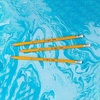 image:imageBIC Evolution Cased Pencil 2 Lead Yellow Barrel 24Count PGEYP241BLKYellow
