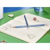 image:imageBIC Evolution Triangle Pencils  Pack of 12 Grey12 Count Pack of 1