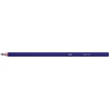 image:imageBIC Kids Tropicolors 2 Colouring Pencils 12 Pack12 Count Pack of 1