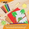 image:imageBiC Kids Visa Colouring Pens Pack of 121 Count Pack of 12