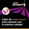 image:imageBIC Intensity Colouring Pencils In Premium Cardboard Case Suitable For Adults Assorted Colours Pack of 24Premium Assorted Colours