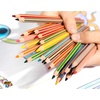 image:imageBIC Kids Evolution Stripes Colouring Pencils  Assorted Colours 24 Count Pack of 1